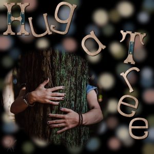 hug-a-tree-resized