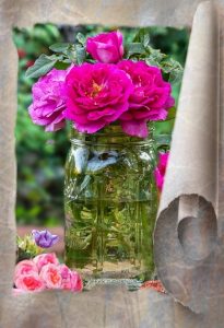 roses-in-a-fruit-jar