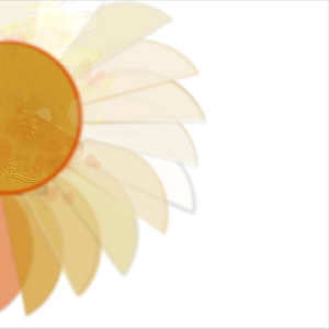 sun-sunflower