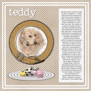 teddy-600x600-2