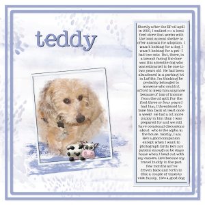 teddy-jpg2-600x600