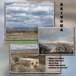 arizona-scrap-reduced