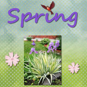 spring-4
