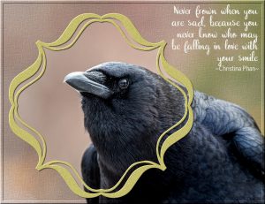 crow-and-quote