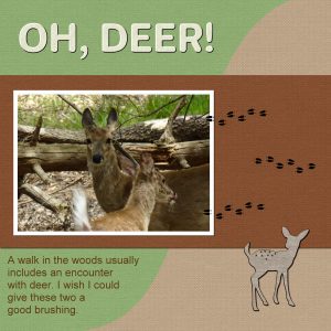 deer-a-walk-in-the-woods-600