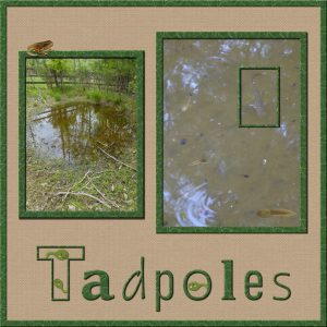 tadpole-600
