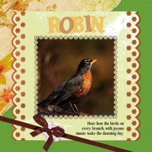 wise-word-day-5-robin
