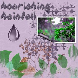 nourishingrainfall