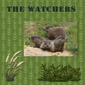 the-watchers-600
