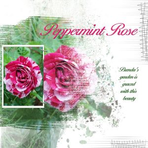 2020-64-peppermint-rose-mask-5-lady-22-600