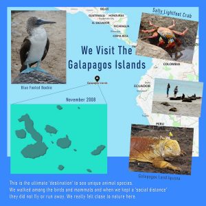 destination-galapagos-islands