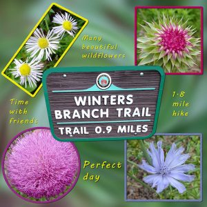 2020-6-20-winters-branch-trail-600