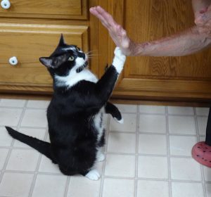 penny-high-five