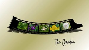 the-garden-filmstrip