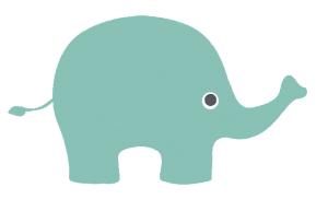 elephant-trans