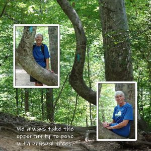 2020-8-6-bent-tree-hike-600