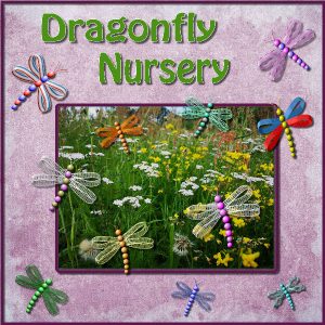 dragonfly-nursery-600