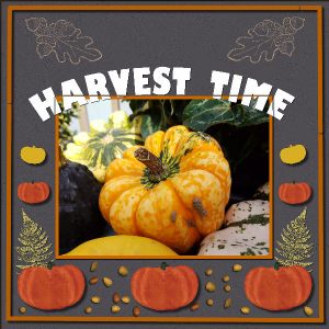harvest-time-600