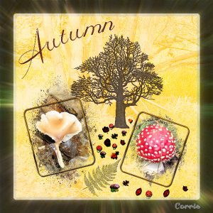 autumn-600-2