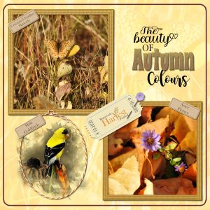 autumn-colours-scavenger-hunt