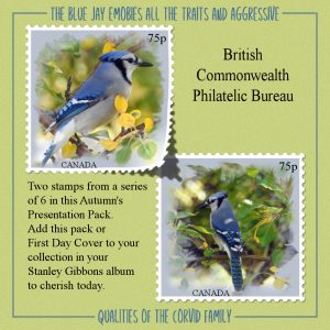 blue-jay-stamps