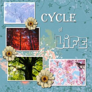 cycle-of-life