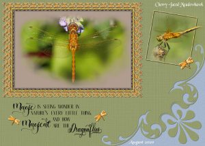dragonfly-framed-quote-2