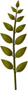 sgh-leaf-branch-13-02-2020