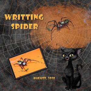 writting-spider-600-x-600