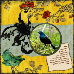 grackle-layout-reduced
