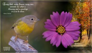 quote-warbler-nashville-flower-text