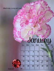 calendar-01-2021-carnation-and-garnet-sm