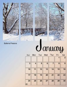 calendar-01-2021-sm-2