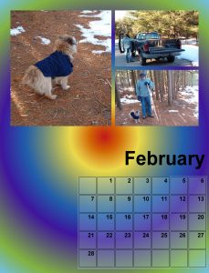 calendar-02-2021-feb-2