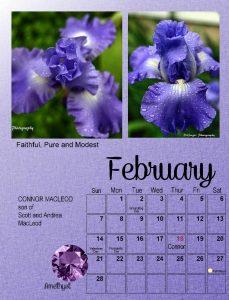 calendar-02-2021-iris-and-amethyst-sm-3