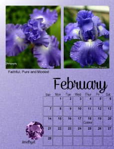 calendar-02-2021-iris-and-amethyst-sm
