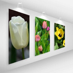 gallery-with-picture-frame-lights-tulips-sm