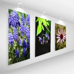 gallery-with-picture-frame-lights-flowers-sm