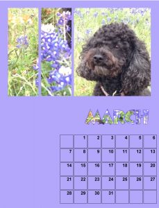 my-calendar-03-2021-3