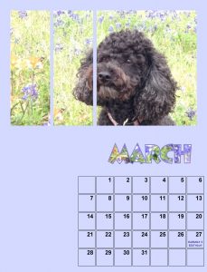 my-calendar-03-2021-4