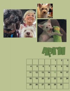 my-calendar-04-2021-2