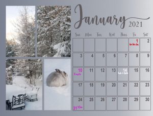 my-calendar-01-2021-600