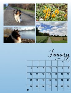 my-calendar-01-2021-scale