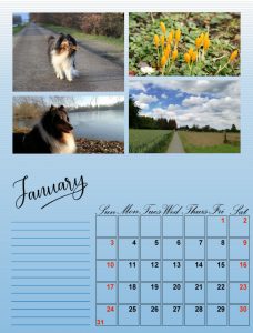 my-calendar-01-2021_600