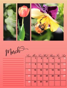 my-calendar-03-2021_600