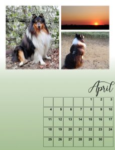 my-calendar-04-2021-scale