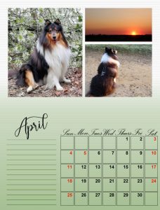 my-calendar-04-2021_600