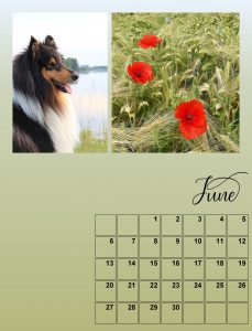 my-calendar-06-2021-scale