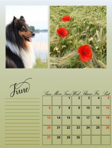 my-calendar-06-2021_600