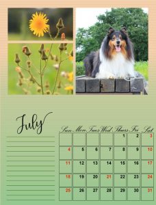 my-calendar-07-2021_600